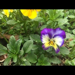 Meet your Posher, Jess